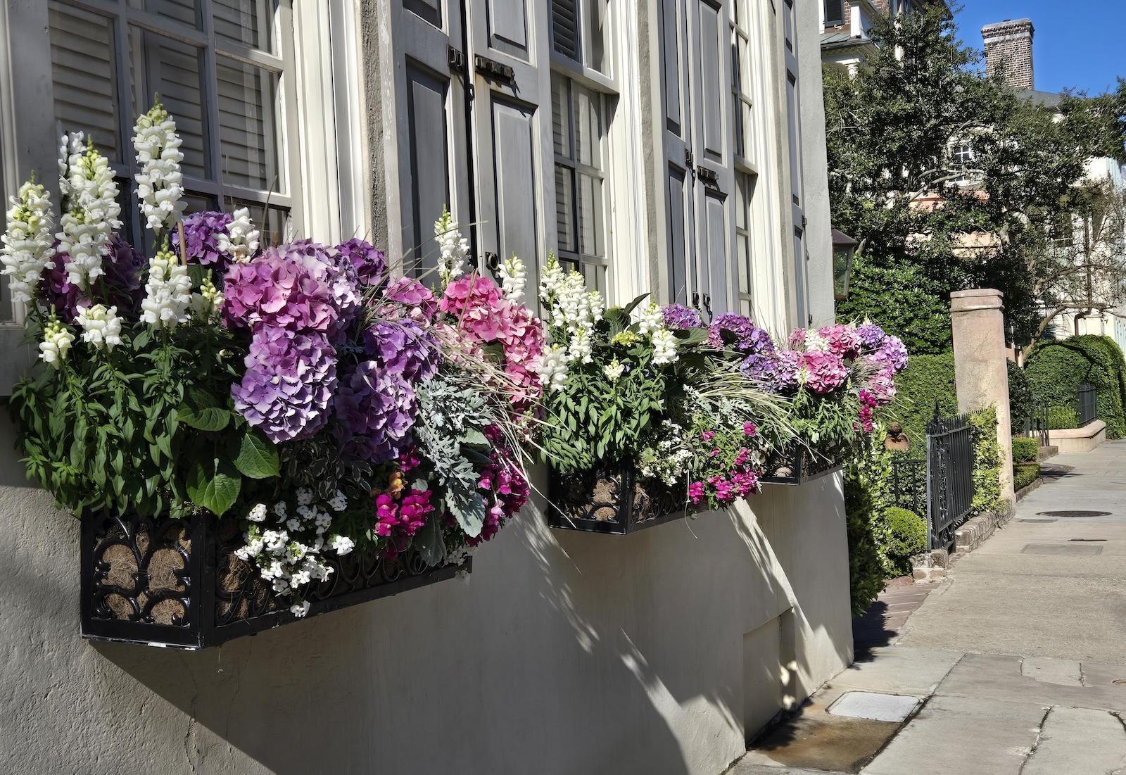 Charleston Flowers Downtown